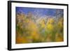 A Tribute to Monet-Andrew George-Framed Photographic Print