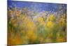 A Tribute to Monet-Andrew George-Mounted Photographic Print
