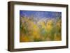 A Tribute to Monet-Andrew George-Framed Photographic Print