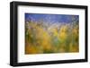 A Tribute to Monet-Andrew George-Framed Photographic Print