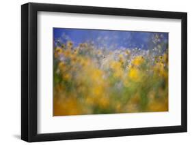 A Tribute to Monet-Andrew George-Framed Photographic Print