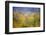 A Tribute to Monet-Andrew George-Framed Photographic Print