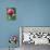 A Trio of Bees Explore a Giant Thistle Bloom on a Farm Near New Castle-null-Photographic Print displayed on a wall