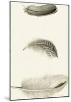 A Trio of Feathers-The Vintage Collection-Mounted Art Print