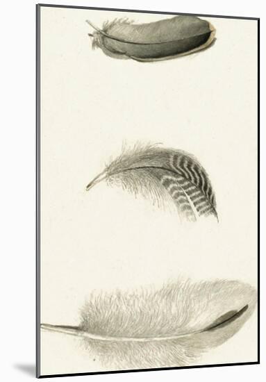 A Trio of Feathers-The Vintage Collection-Mounted Art Print