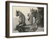 A Trio of Gargoyles-null-Framed Photographic Print