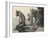 A Trio of Gargoyles-null-Framed Photographic Print