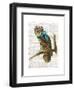 A Trip To The Hamptons-Christopher James-Framed Art Print