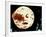 A Trip to the Moon, (aka Le Voyage dans le Lune), 1902-null-Framed Photo