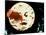 A Trip to the Moon, (aka Le Voyage dans le Lune), 1902-null-Mounted Photo