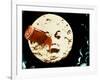 A Trip to the Moon, (aka Le Voyage dans le Lune), 1902-null-Framed Photo