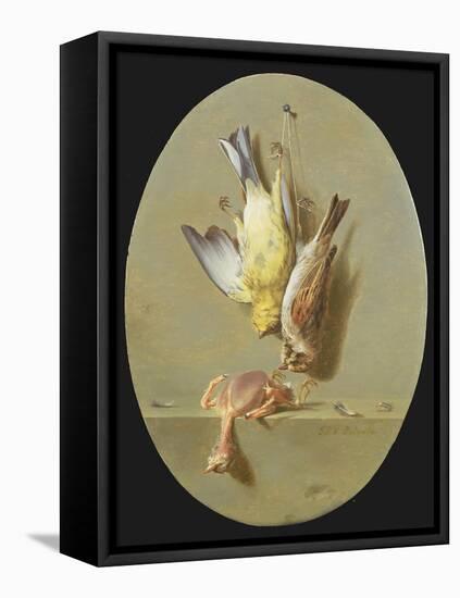 A Trompe L'Oeil of Dead Songbirds-Jean Joseph Xavier Bidauld-Framed Stretched Canvas
