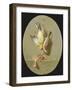 A Trompe L'Oeil of Dead Songbirds-Jean Joseph Xavier Bidauld-Framed Giclee Print