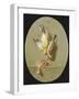 A Trompe L'Oeil of Dead Songbirds-Jean Joseph Xavier Bidauld-Framed Giclee Print