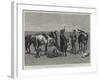 A Trooper of the Canadian Mounted Police Lost on the Great Plains of the Saskatchewan-Frederic Remington-Framed Giclee Print