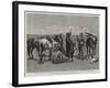 A Trooper of the Canadian Mounted Police Lost on the Great Plains of the Saskatchewan-Frederic Remington-Framed Giclee Print