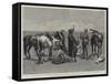 A Trooper of the Canadian Mounted Police Lost on the Great Plains of the Saskatchewan-Frederic Remington-Framed Stretched Canvas