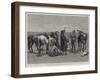 A Trooper of the Canadian Mounted Police Lost on the Great Plains of the Saskatchewan-Frederic Remington-Framed Giclee Print