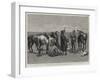 A Trooper of the Canadian Mounted Police Lost on the Great Plains of the Saskatchewan-Frederic Remington-Framed Giclee Print