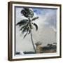A Tropical Breeze, Nassau, 1889-90-Winslow Homer-Framed Giclee Print