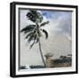 A Tropical Breeze, Nassau, 1889-90-Winslow Homer-Framed Giclee Print