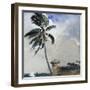 A Tropical Breeze, Nassau, 1889-90-Winslow Homer-Framed Giclee Print