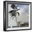 A Tropical Breeze, Nassau, 1889-90-Winslow Homer-Framed Giclee Print