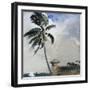 A Tropical Breeze, Nassau, 1889-90-Winslow Homer-Framed Giclee Print