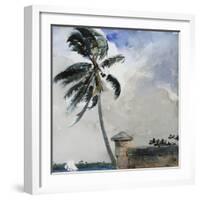 A Tropical Breeze, Nassau, 1889-90-Winslow Homer-Framed Giclee Print