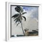 A Tropical Breeze, Nassau, 1889-90-Winslow Homer-Framed Giclee Print