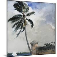 A Tropical Breeze, Nassau, 1889-90-Winslow Homer-Mounted Giclee Print