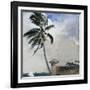 A Tropical Breeze, Nassau, 1889-90-Winslow Homer-Framed Giclee Print