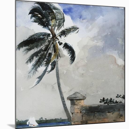 A Tropical Breeze, Nassau, 1889-90-Winslow Homer-Mounted Giclee Print