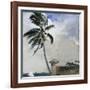 A Tropical Breeze, Nassau, 1889-90-Winslow Homer-Framed Giclee Print