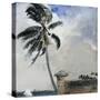 A Tropical Breeze, Nassau, 1889-90-Winslow Homer-Stretched Canvas