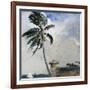 A Tropical Breeze, Nassau, 1889-90-Winslow Homer-Framed Giclee Print