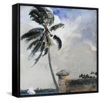 A Tropical Breeze, Nassau, 1889-90-Winslow Homer-Framed Stretched Canvas