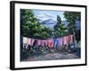 A Tropical Landscape, 1993-Carlton Murrell-Framed Giclee Print