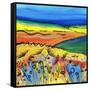 A Tropical Summer-Caroline Duncan-Framed Stretched Canvas