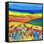 A Tropical Summer-Caroline Duncan-Framed Stretched Canvas