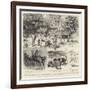 A Trout-Breeding Experiment in North-West India-Godefroy Durand-Framed Giclee Print