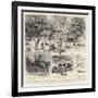 A Trout-Breeding Experiment in North-West India-Godefroy Durand-Framed Giclee Print
