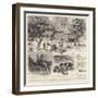 A Trout-Breeding Experiment in North-West India-Godefroy Durand-Framed Premium Giclee Print