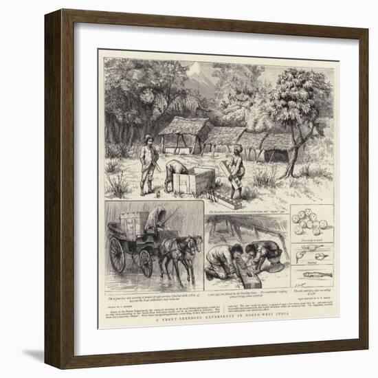 A Trout-Breeding Experiment in North-West India-Godefroy Durand-Framed Giclee Print