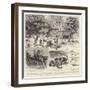 A Trout-Breeding Experiment in North-West India-Godefroy Durand-Framed Giclee Print