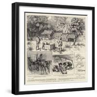 A Trout-Breeding Experiment in North-West India-Godefroy Durand-Framed Giclee Print