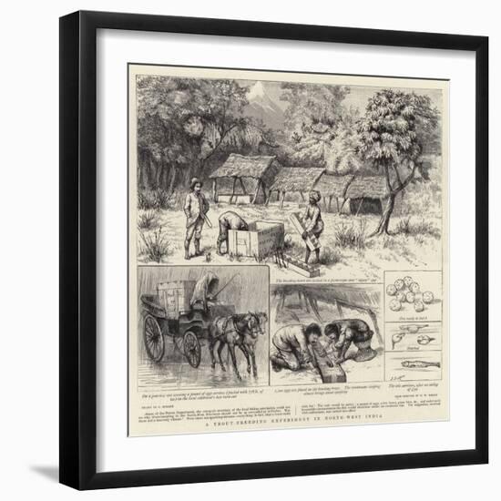 A Trout-Breeding Experiment in North-West India-Godefroy Durand-Framed Giclee Print