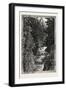 A Trout Pool on the Saugeen, Canada, Nineteenth Century-null-Framed Premium Giclee Print