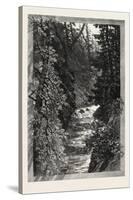 A Trout Pool on the Saugeen, Canada, Nineteenth Century-null-Stretched Canvas