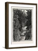 A Trout Pool on the Saugeen, Canada, Nineteenth Century-null-Framed Giclee Print